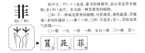 菲字五行|菲字的五行属性是什么